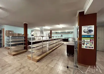 Alquiler Local Comercial Empedrada, Manzanares en Manzanares