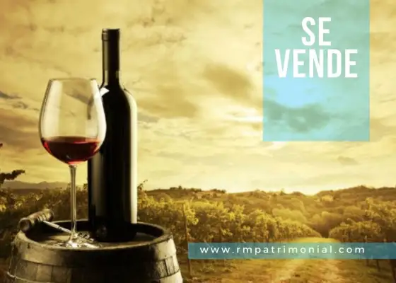 Bodega de elaboración de vino en Venta en Bolaños de Calatrava