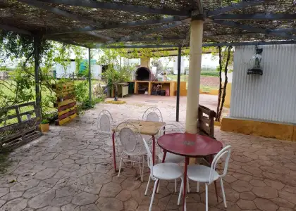 Campo acogedor en el villar en Puertollano