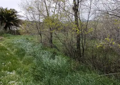 Campo al lado del pueblo en Cabezarrubias del Puerto