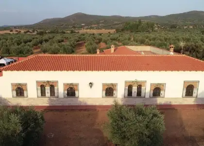 CASA de CAMPO con OLIVAR en Piedrabuena