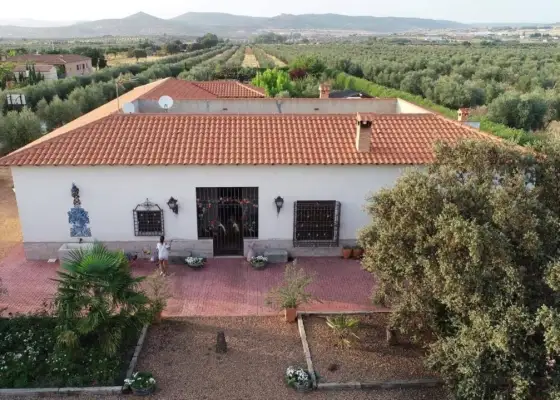 CASA de CAMPO con OLIVAR en Piedrabuena