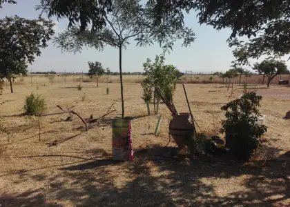 Chalet en venta en Manzanares en Manzanares