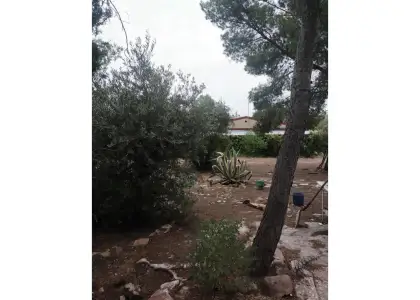 Cortijo en venta en Siles en Manzanares