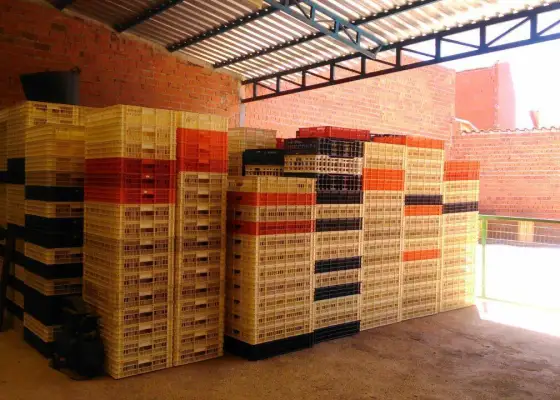 fabrica y tienda de productos lacteos en venta y alquiler en Valdepeñas