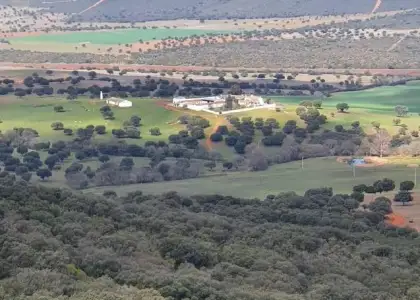 Finca de caza, agricola y ganadera en Puertollano