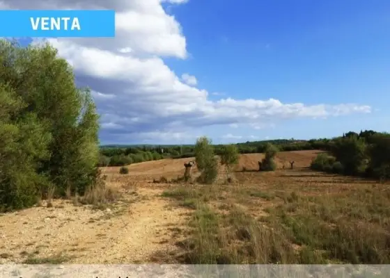 Finca Los Llanillos - Lagunas de Ruidera