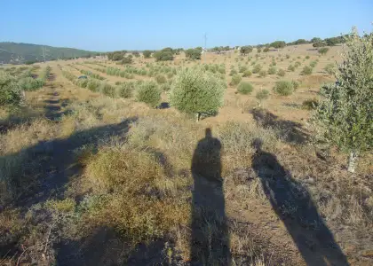 Finca Rústica en Aldeaquemada, Aldequemada en Aldeaquemada