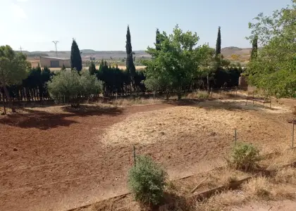 Finca Rústica en Almedina, Almedina en Almedina
