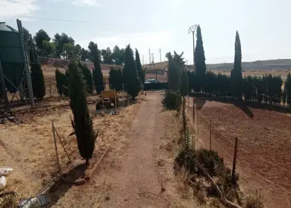 Finca Rústica en Almedina, Almedina en Almedina