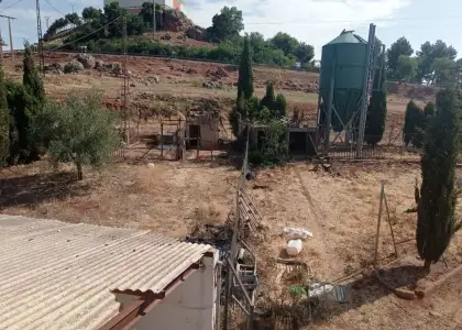 Finca Rústica en Almedina, Almedina en Almedina