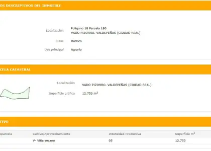 Finca Rústica en Valdepeñas, Baños del Peral en Valdepeñas