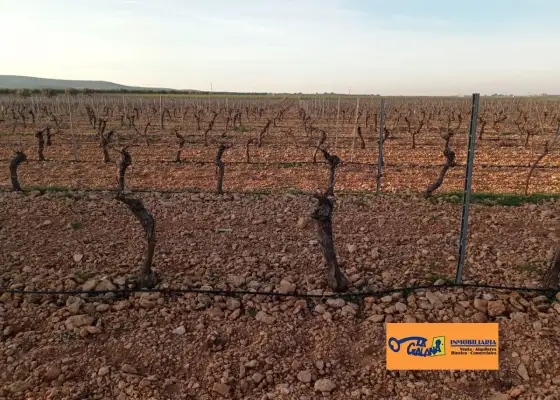 Finca Rústica en Valdepeñas, Carretera Daimiel