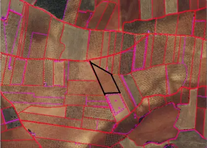Finca Rústica en Valdepeñas, Carretera Infantes en Valdepeñas