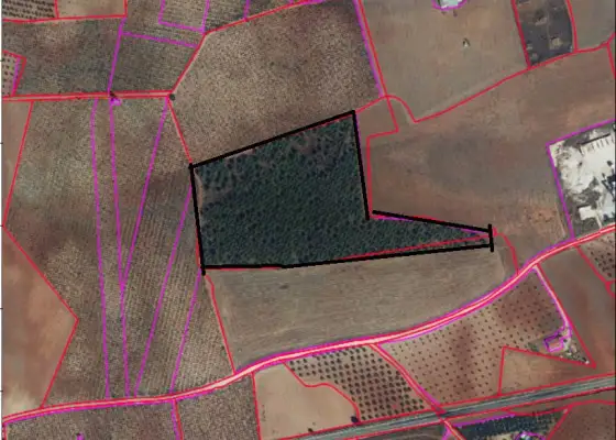 Finca Rústica en Valdepeñas, Carretera Infantes