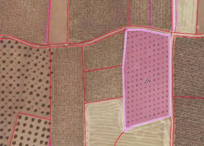 Finca Rústica en Valdepeñas, Carretera Moral en Valdepeñas