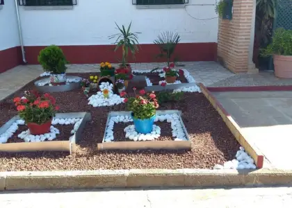 Finca Rústica en Valdepeñas, Nacional - IV en Valdepeñas