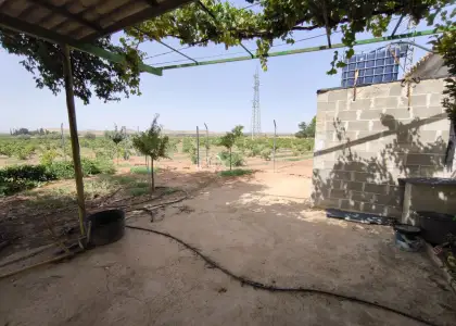 Finca Rústica en Valdepeñas, Valdepeñas en Valdepeñas
