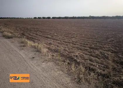 Finca Rústica en Valdepeñas, Valdepeñas en Valdepeñas
