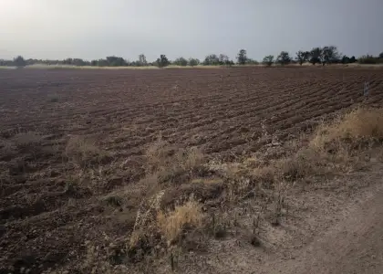 Finca Rústica en Valdepeñas, Valdepeñas en Valdepeñas