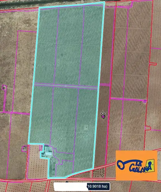 Finca Rústica en Valdepeñas, Valdepeñas en Valdepeñas