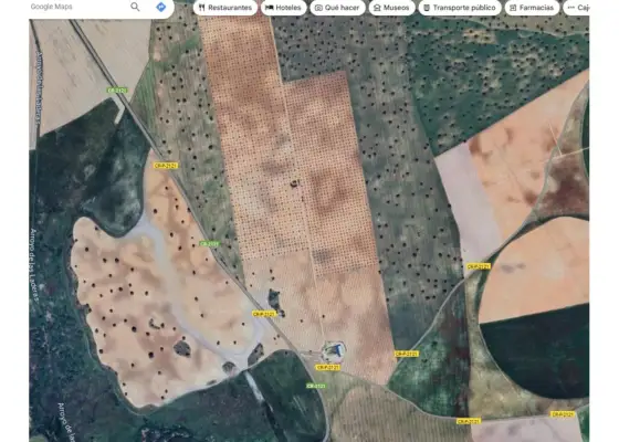 Finca rústica en venta en Daimiel