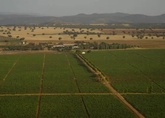 FINCA RUSTICA en venta en Valdepeñas