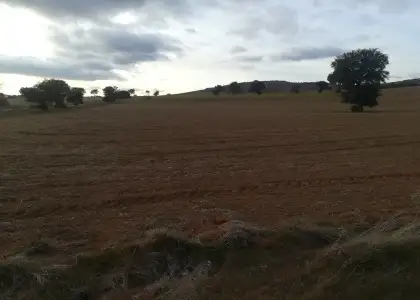 Finca Rústica en Viso Del Marques, Bazán en Viso del Marqués