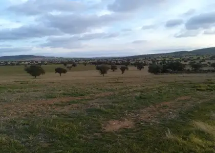 Finca Rústica en Viso Del Marques, Bazán en Viso del Marqués