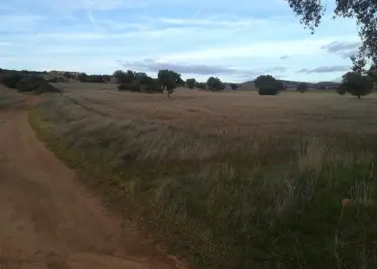 Finca Rústica en Viso Del Marques, Bazán en Viso del Marqués