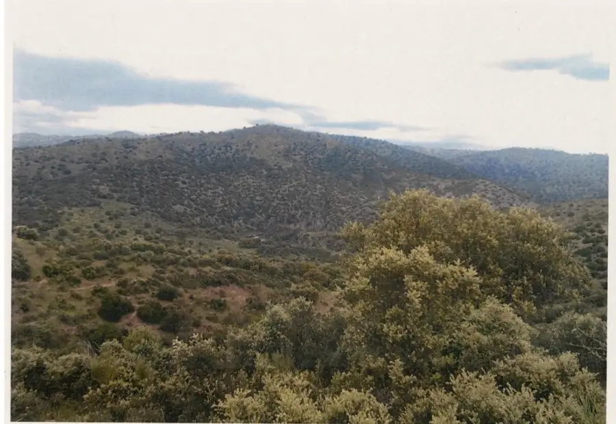Finca rústica - Mestanza en Mestanza