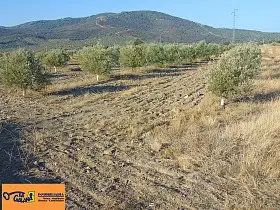 Finca Rústica Venta Aldequemada, Aldeaquemada