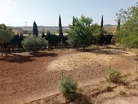 Finca Rústica Venta Almedina, Almedina