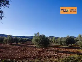 Finca Rústica Venta Carretara del Cristo, Valdepeñas en Valdepeñas