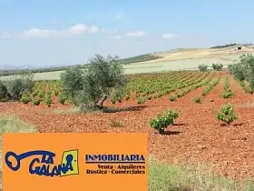 Finca Rústica Venta Carretera Infantes, Valdepeñas