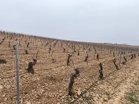 Finca Rústica Venta Carretera Santa Cruz, Valdepeñas en Valdepeñas