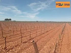Finca Rústica Venta Carretera Santa Cruz, Valdepeñas