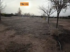 Finca Rústica Venta Nacional - IV, Valdepeñas