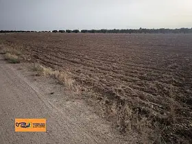 Finca Rústica Venta Valdepeñas, Valdepeñas