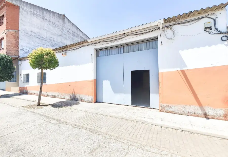 Nave Industrial, Calle Jose Maria Rodriguez Marín en Argamasilla de Calatrava