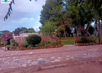 Se vende gran parcela - casas viejas en Albacete