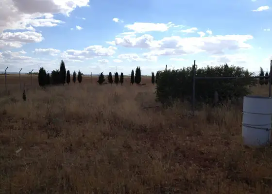 se vende parcela rustica en Manzanares