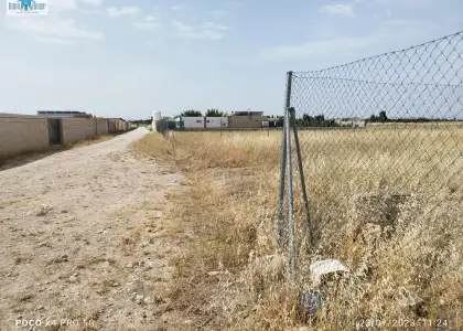 Se vende terreno rustico ( zona hoya vacas ) en Albacete