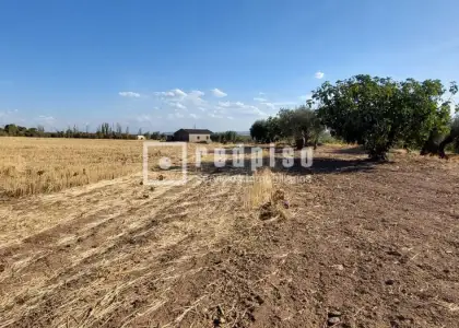 Solar en venta en Cebolla, Toledo en Cebolla