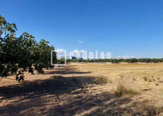 Solar en venta en Cebolla, Toledo