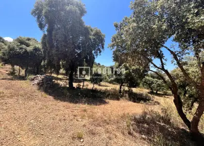 Solar en venta en Hontoba, Guadalajara en Hontoba