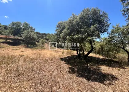 Solar en venta en Hontoba, Guadalajara en Hontoba