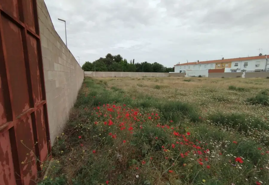 Terreno / Urbanizable En Venta Calle la Paz, Tomelloso en Tomelloso
