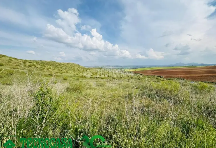Terrenos en venta en Albarreal De Tajo - Albarreal De Tajo, 24.900 €, 4766 m2, ref. 653449 en Albarreal de Tajo