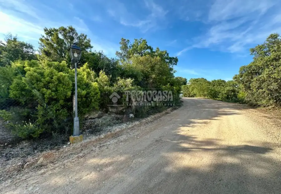 Terrenos en venta en Loranca De Tajuña - Loranca De Tajuña, 55.000 €, 4903 m2, ref. 658900 en Loranca de Tajuña